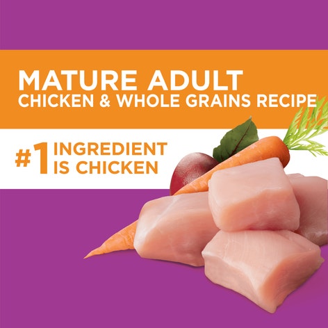IAMS PROACTIVE HEALTH Senior Healthy Aging Adult Dry Dog Food Chicken 3.18kg Bag image 1
