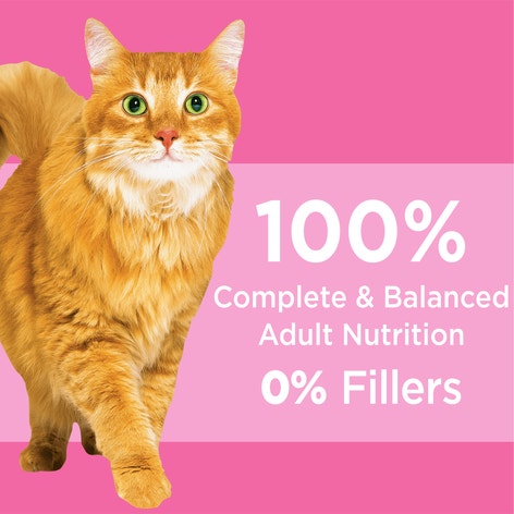 IAMS Proactive Health Adult Dry Cat Food Healthy Digestion with Chicken & Turkey 1.36kg Bag image 1