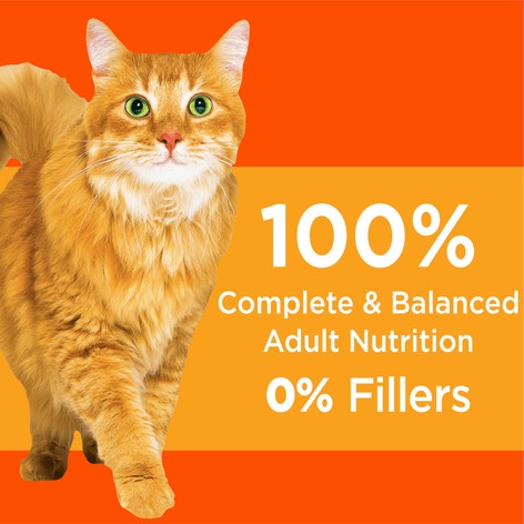 IAMS PROACTIVE HEALTH Adult Dry Cat Food with Chicken 3.18kg Bag image 1