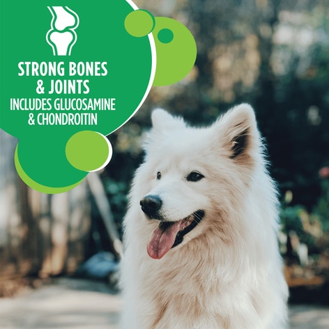 IAMS PROACTIVE HEALTH Large Breed Adult Dry Dog Food Chicken 13.6kg Bag image 1