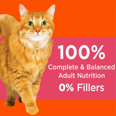 IAMS PROACTIVE HEALTH Adult Dry Cat Food with Salmon 3.18kg Bag image 1