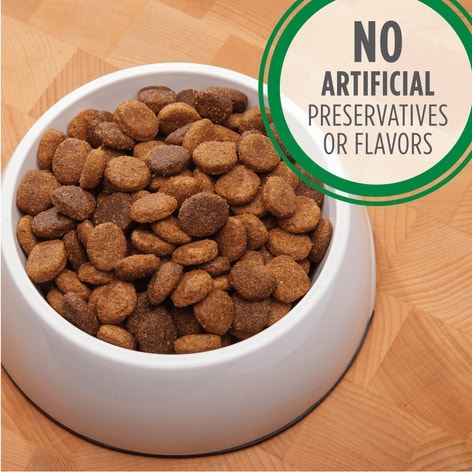 IAMS PROACTIVE HEALTH Large Breed Adult Dry Dog Food Chicken 13.6kg Bag image 1