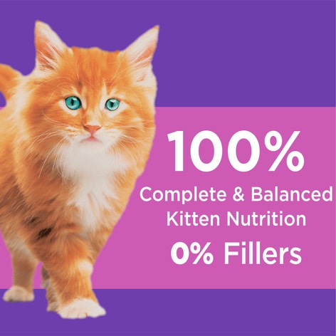 IAMS PROACTIVE HEALTH Kitten Dry Cat Food with Chicken 1.59kg Bag image 1