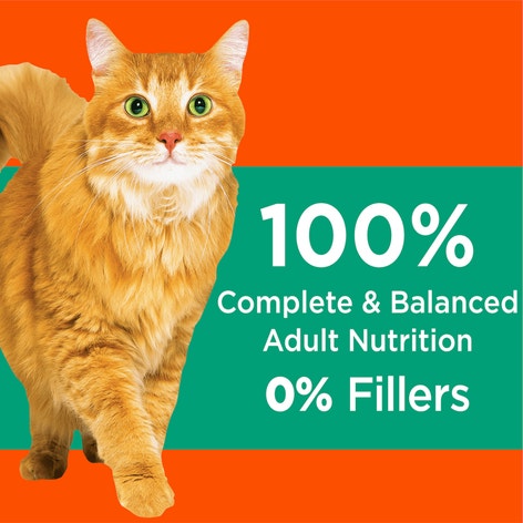 IAMS PROACTIVE HEALTH Hairball Care Adult Dry Cat Food with Chicken & Salmon 1.59kg Bag image 1