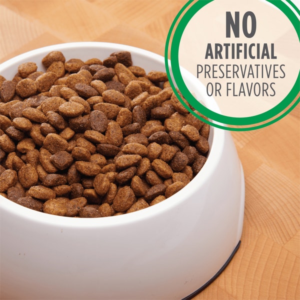 IAMS PROACTIVE HEALTH Adult Dry Dog Food Minichunks Chicken 1.5kg Bag image 6