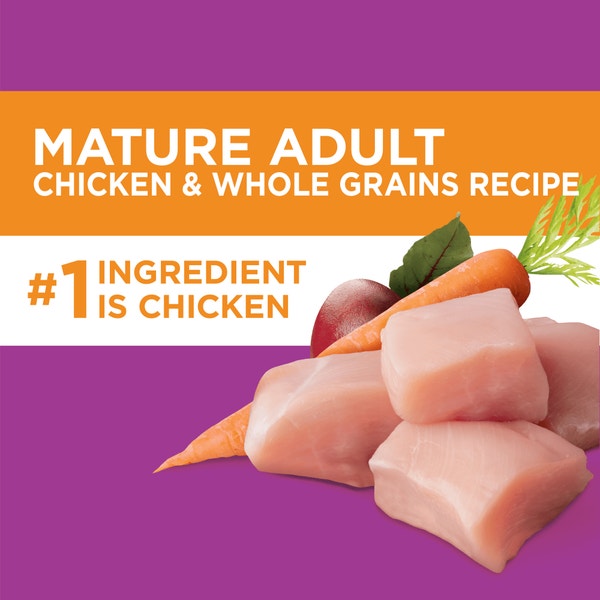 IAMS PROACTIVE HEALTH Senior Healthy Aging Adult Dry Dog Food Chicken 3.18kg Bag image 4