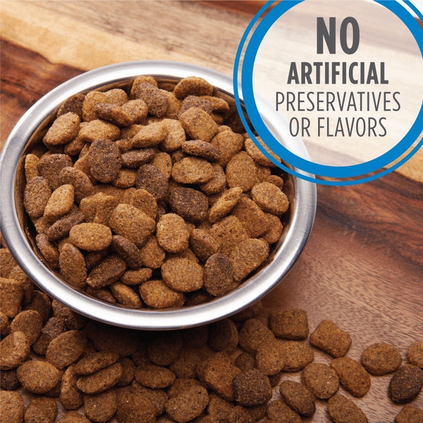 IAMS PROACTIVE HEALTH Healthy Weight Adult Dry Dog Food with Real Chicken 3.18kg Bag image 6