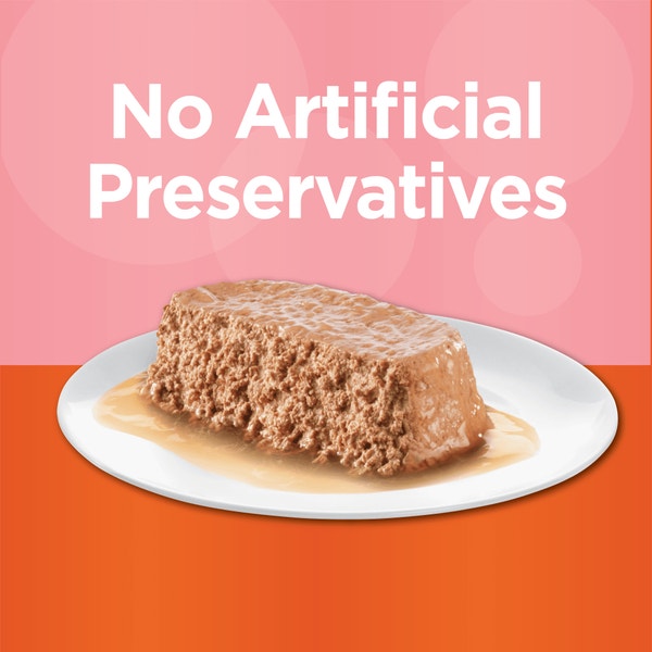 IAMS PERFECT PORTIONS Wet Cat Food Healthy Adult Salmon Pate 2 x 37.5g Trays image 4