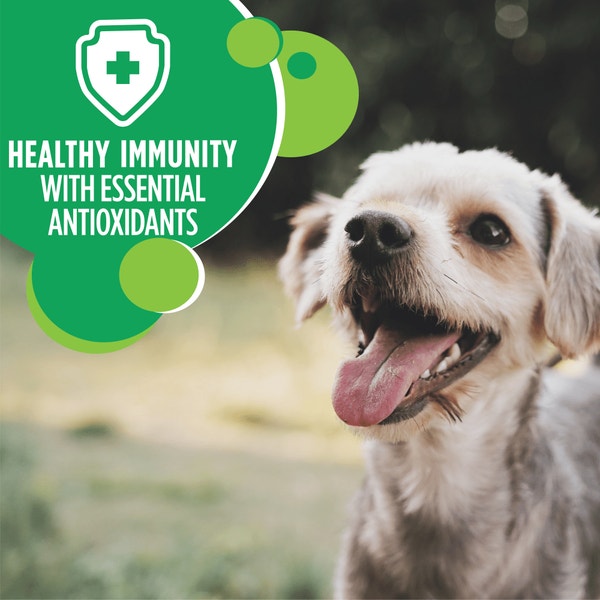 IAMS PROACTIVE HEALTH Small & Toy Breed Adult Dry Dog Food 3.18kg Bag image 5