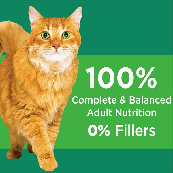 IAMS PROACTIVE HEALTH Senior Dry Cat Food with Chicken 1.59kg Bag image 4