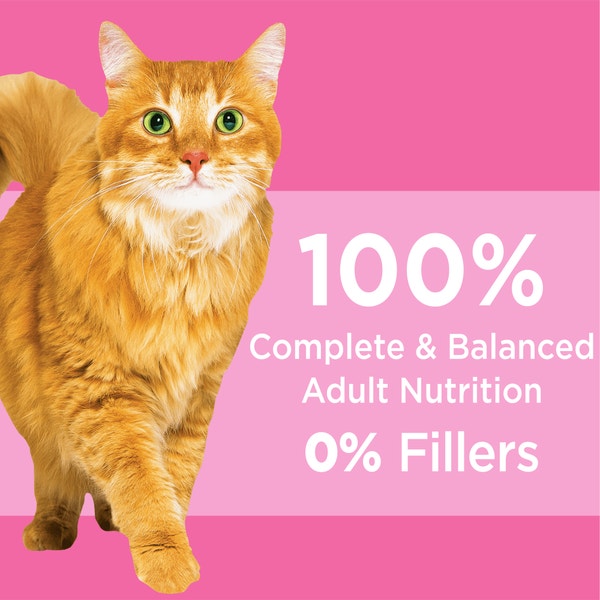 IAMS Proactive Health Adult Dry Cat Food Healthy Digestion with Chicken & Turkey 1.36kg Bag image 4