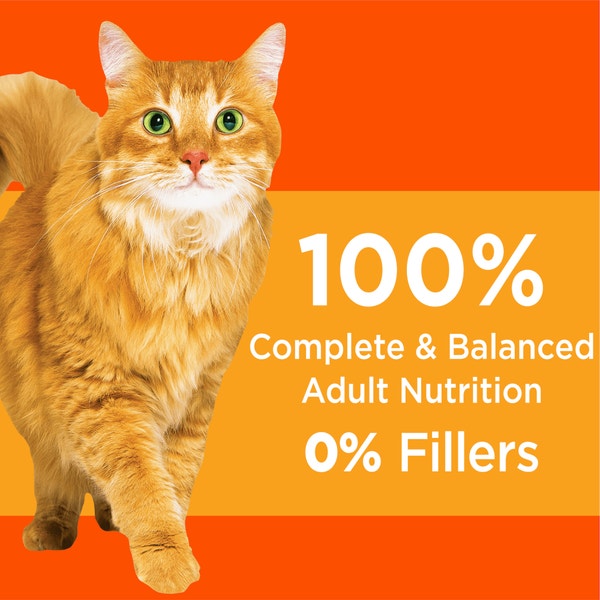IAMS PROACTIVE HEALTH Adult Dry Cat Food with Chicken 7.26kg Bag image 4