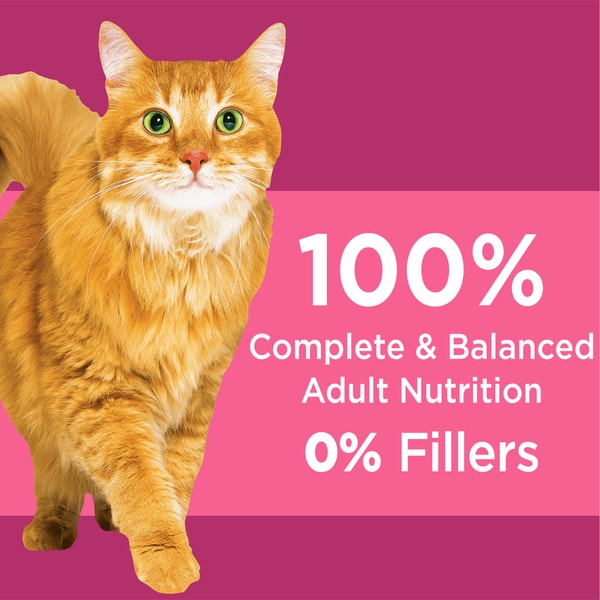 IAMS PROACTIVE HEALTH Urinary Tract Health Adult Dry Cat Food with Chicken 1.59kg Bag image 4