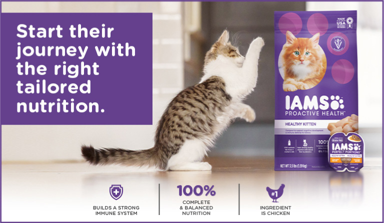IAMS For Cats