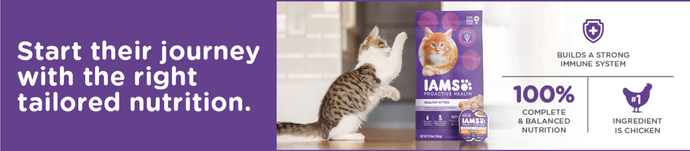 IAMS | For Cats