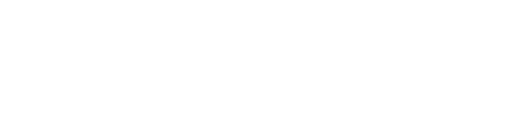 5 logo