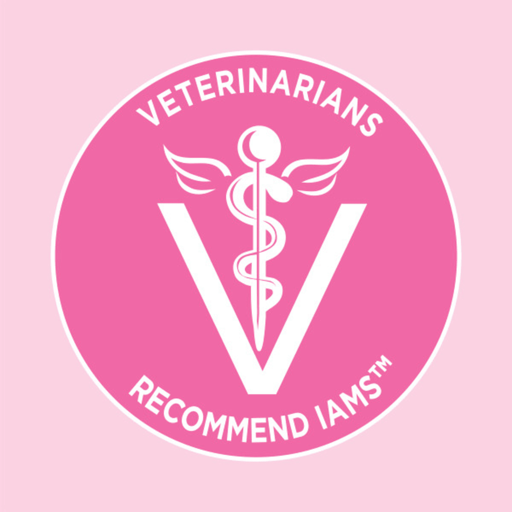 IAMS Proactive Health Adult Dry Cat Food Healthy Digestion with Chicken & Turkey 1.36kg Bag benefits image 1