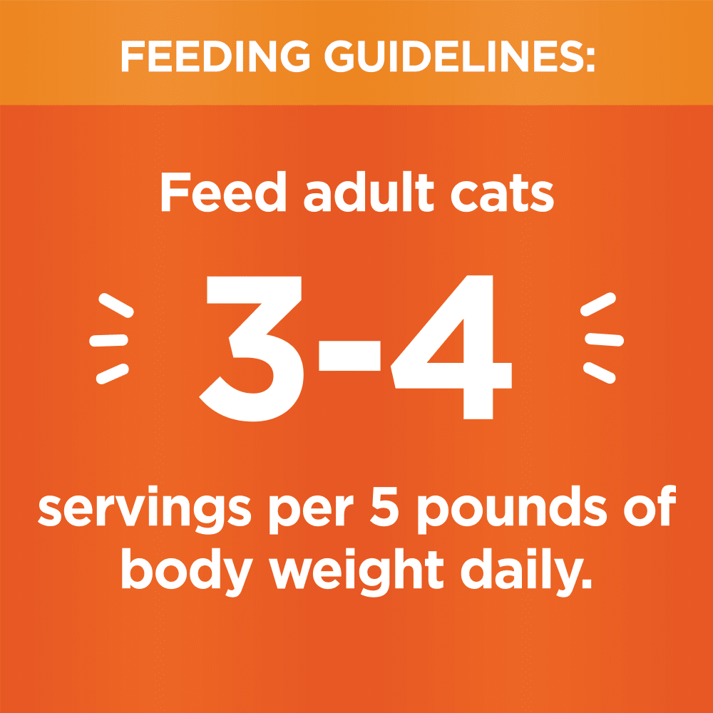 IAMS PERFECT PORTIONS Wet Cat Food Healthy Adult Chicken Pate 2 x 37.5g Trays feeding guidelines image