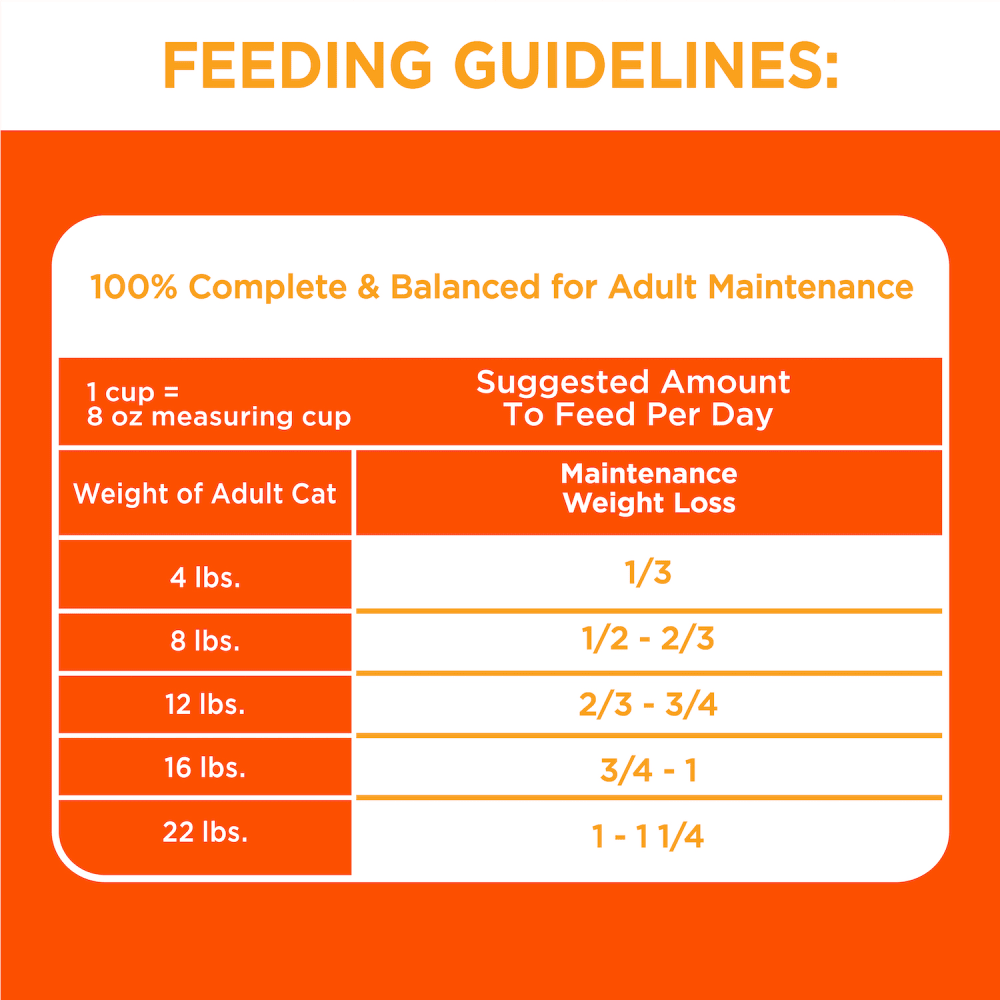IAMS PROACTIVE HEALTH Adult Dry Cat Food with Chicken 3.18kg Bag feeding guidelines image